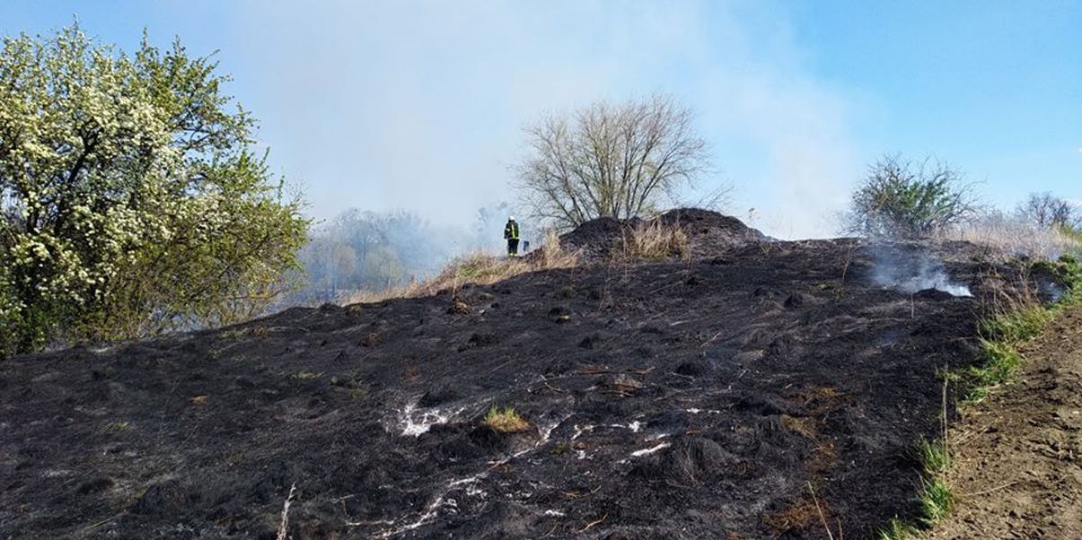 Підпалили очерет —  ледь не згоріли розквітлі яблуні